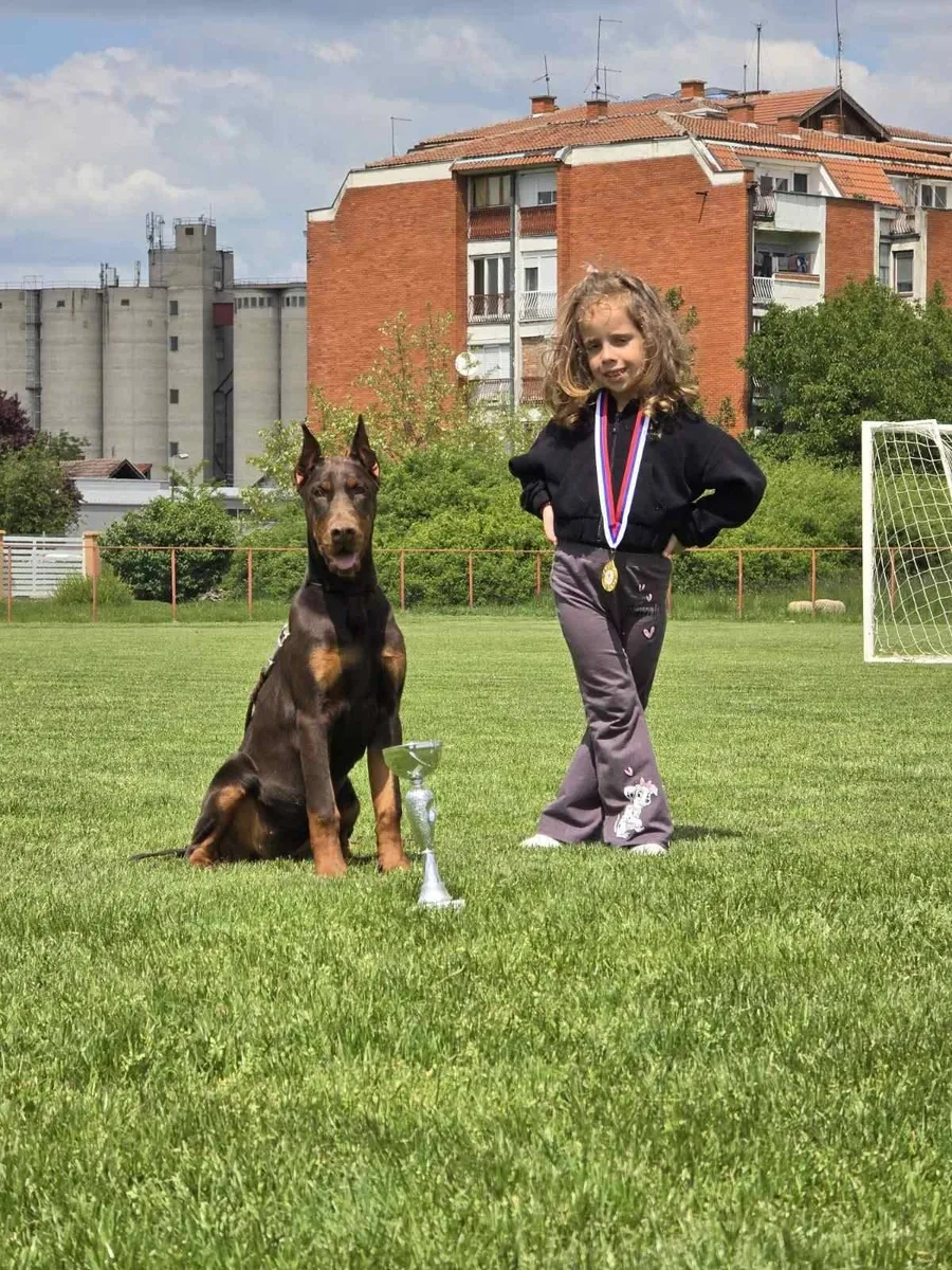 Doberman iz Hudi House sa peharom, pored male šampionke sa medaljom