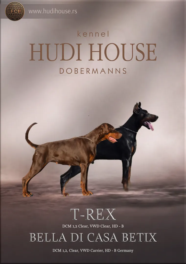 Leglo B: T-Rex i Bella Di Casa Betix